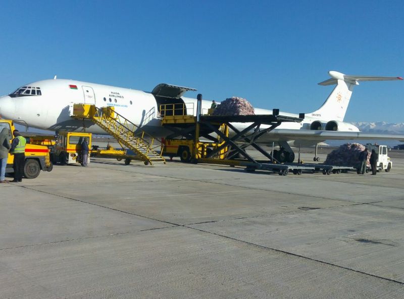 ادامه واردات هوایی گوشت گرم گوسفندی ادامه واردات هوایی گوشت گرم گوسفندی