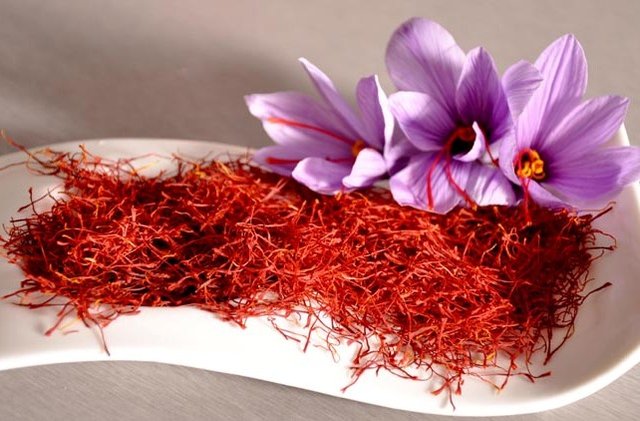 اختیار معامله زعفران در بورس کالا آغازشد