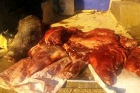 خراسان شمالی؛ خرید و فروش گوشت گراز به جای قوچ