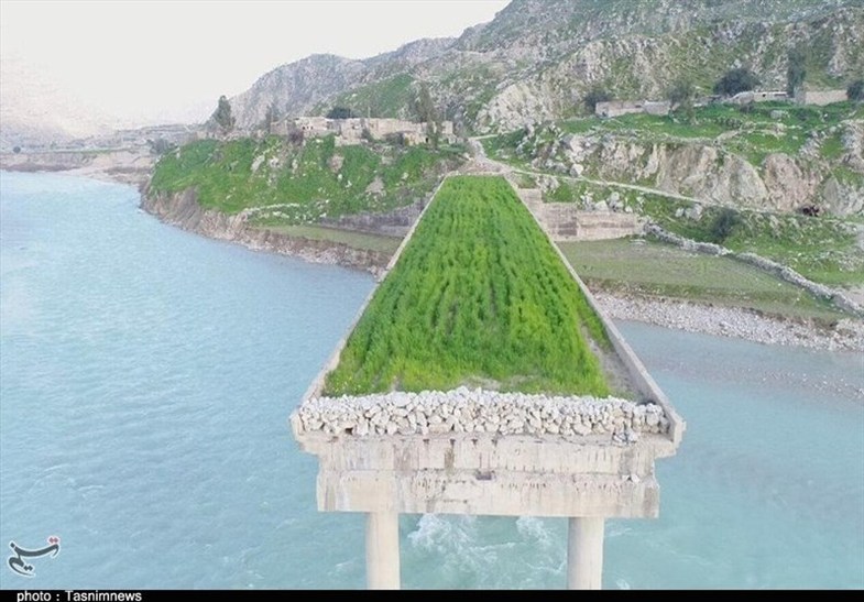 کار عجیب کشاورز ایرانی؛ کشت گندم روی پل تخریب شده +تصاویر