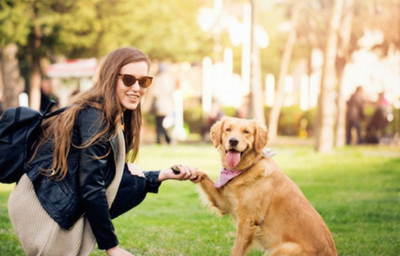 هزینه سرسام‌آور نگهداری از سگ خانگی