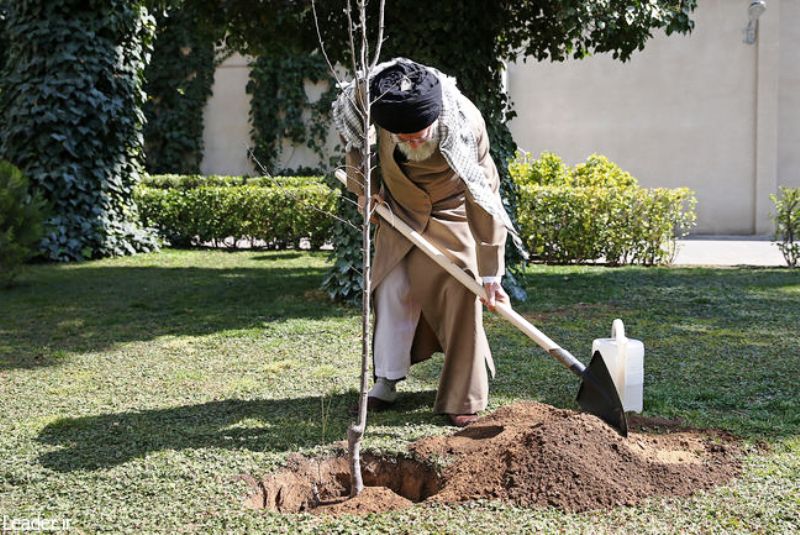 حفظ پوشش گیاهی باید جایگاه واقعی خود را در فرهنگ عمومی پیدا کند