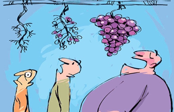 حذف یارانه‌های پنهان تمامی پروژه‌های نیمه‌تمام کشور را به فرجام می‌رساند/ هدررفت ۶۰۰ هزار میلیاردی نتیجه سیاست‌های غلط حمایتی