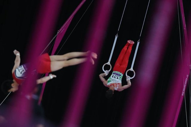 همکلاسی دبیر فدراسیون ژیمناستیک ایران با مربی رژیم صهیونیستی!