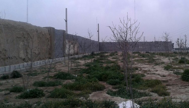 دیوارکشی برای افرایش قیمت زمین در شهرداری تهران/ سالاری: شورای شهر به ساخت‌وسازهای غیرمجاز ورود می‌کند