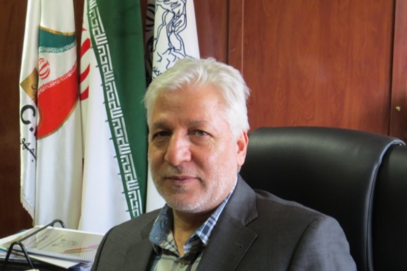 ۹۰ درصد برنامه‌های فدراسیون بدنسازی اجرایی شد