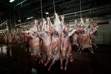 ۳ راهکار ستاد تنظیم بازار برای پایان‌دادن به وضعیت قرمز بازار گوشت