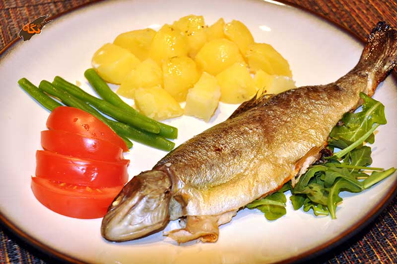 مصرف ماهی در ایران نصف سرانه جهانی است