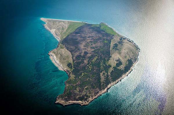 هرمزگان؛ ورود گردشگران به جزیره شیدور ممنوع شد هرمزگان؛ ورود گردشگران به جزیره شیدور ممنوع شد