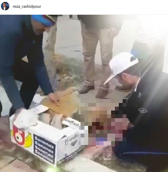 پلیسی که «رضا رشیدپور» دستش را می‌بوسد