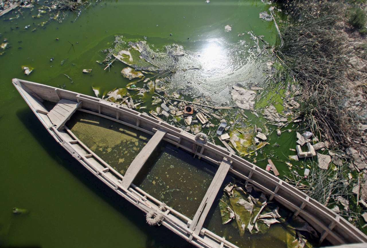 فاضلاب و زباله، رنگ دریای خزر را کدر کرده است/ اقتصاد صیادان به خطر افتاده است / دوشنبه