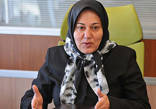 ایرانی‌ها شرکت‌های بی‌هویت در گرجستان تاسیس کرده‌اند/ ردیابی پولشویی در تفلیس!