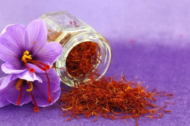 کاهش تولید زعفران درپی خشکسالی