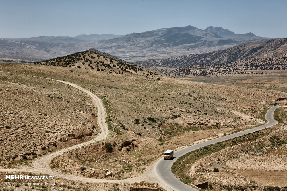 زنانی که ازدواج مجدد نمی‌‎کنند+ عکس