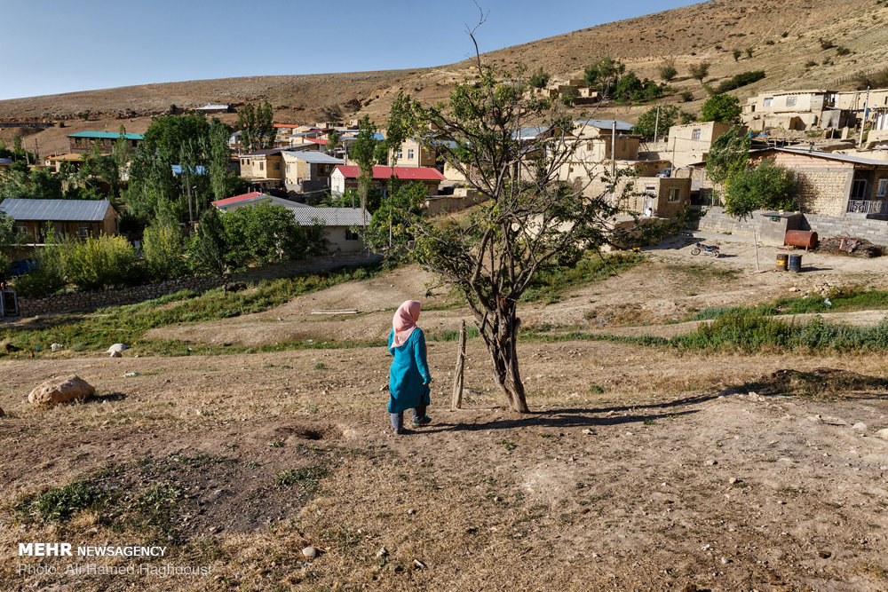 زنانی که ازدواج مجدد نمی‌‎کنند+ عکس
