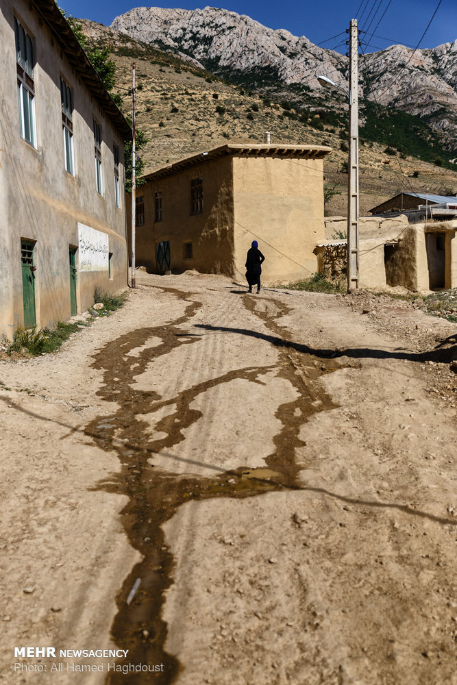 زنانی که ازدواج مجدد نمی‌‎کنند+ عکس