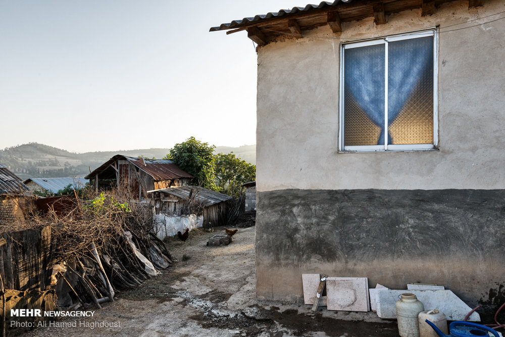 زنانی که ازدواج مجدد نمی‌‎کنند+ عکس