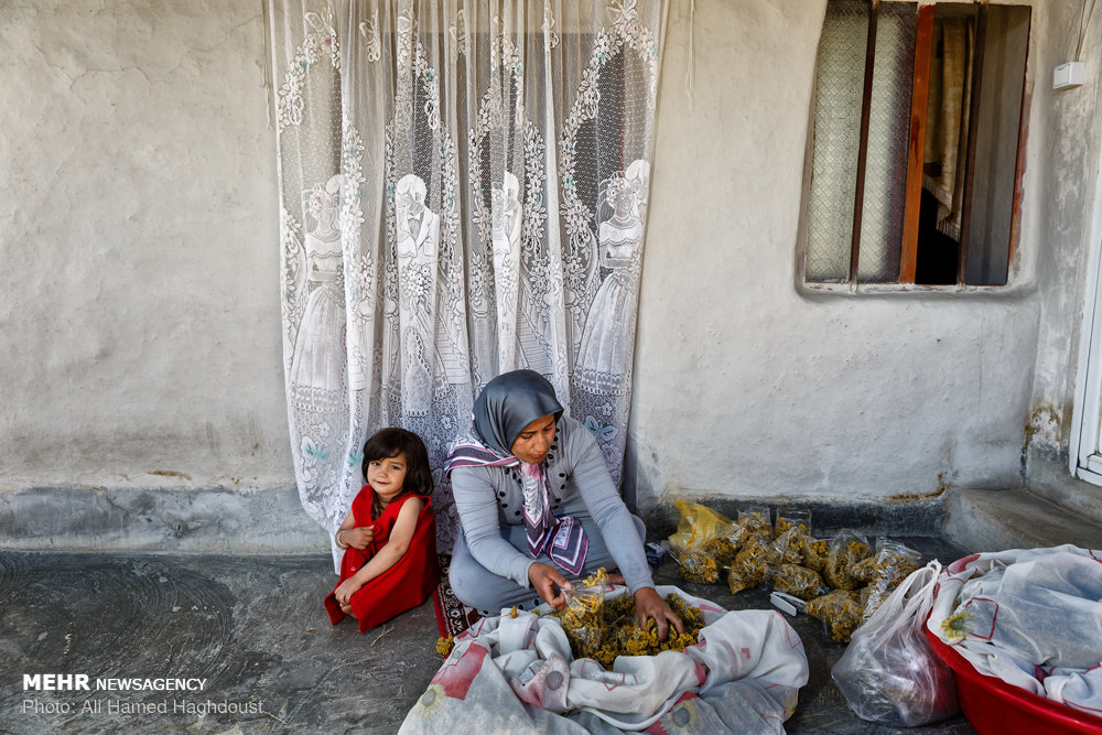 زنانی که ازدواج مجدد نمی‌‎کنند+ عکس