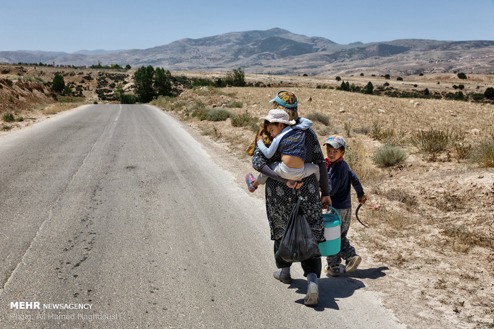 زنانی که ازدواج مجدد نمی‌‎کنند+ عکس