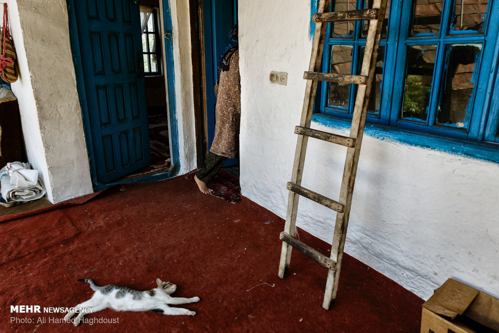 زنانی که ازدواج مجدد نمی‌‎کنند+ عکس