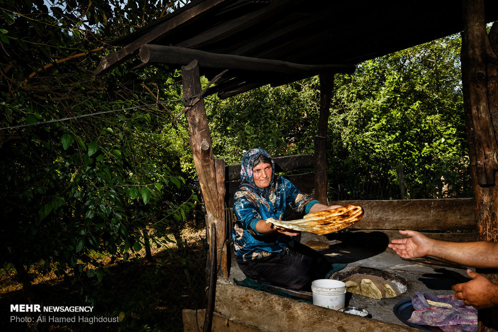 زنانی که ازدواج مجدد نمی‌‎کنند+ عکس