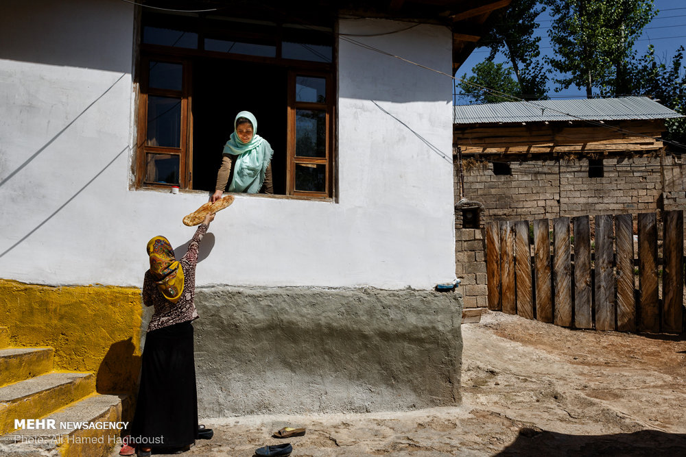 زنانی که ازدواج مجدد نمی‌‎کنند+ عکس