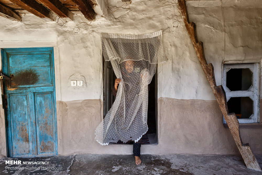 زنانی که ازدواج مجدد نمی‌‎کنند+ عکس