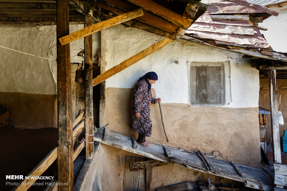 زنانی که ازدواج مجدد نمی‌‎کنند+ عکس