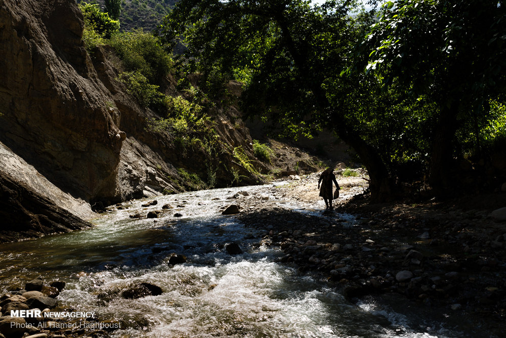 زنانی که ازدواج مجدد نمی‌‎کنند+ عکس
