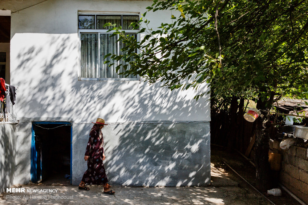 زنانی که ازدواج مجدد نمی‌‎کنند+ عکس