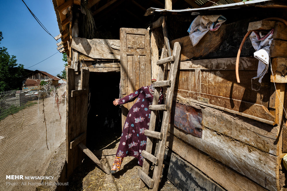 زنانی که ازدواج مجدد نمی‌‎کنند+ عکس
