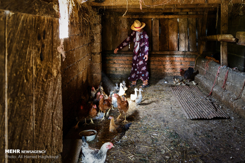 زنانی که ازدواج مجدد نمی‌‎کنند+ عکس