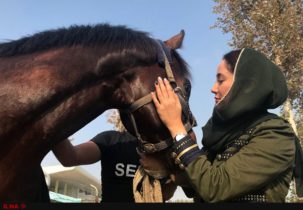 بهاره افشاری بیلبوردهای اهدایی شهرداری تهران را پس داد بهاره افشاری بیلبوردهای اهدایی شهرداری تهران را پس داد