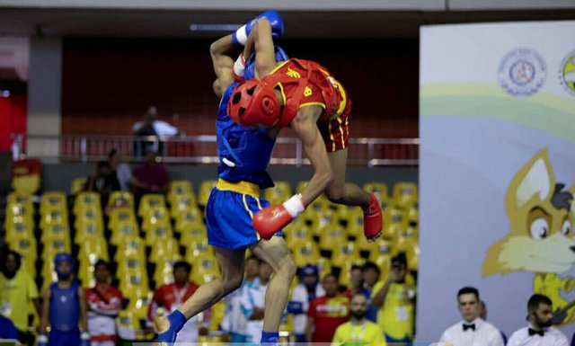طوفان ووشوکاران ایران در شب پایانی با کسب ۹ طلا/ ایران قهرمان جهان شد