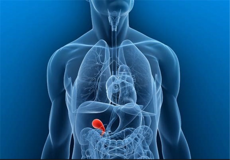 موجودات خطرناکی که در بدن انسان‌ها زندگی می‌کنند!