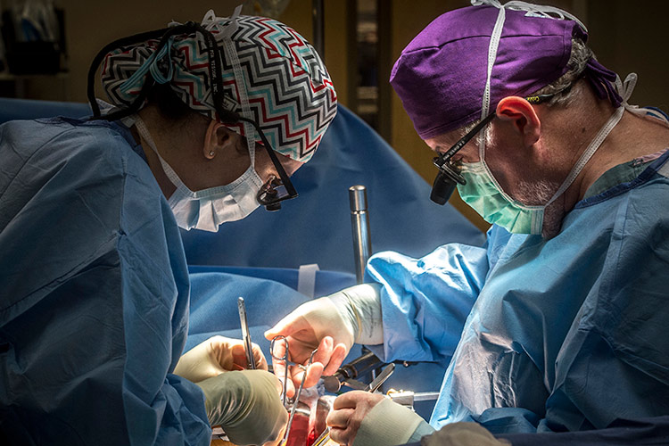 پیوند صورت؛ راهکاری مؤثر برای افزایش کیفیت زندگی بیماران