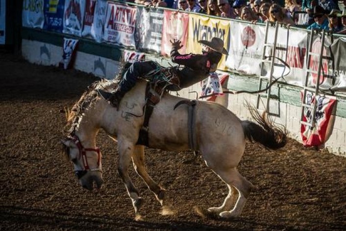 مسابقه سواری گرفتن از اسب وحشی