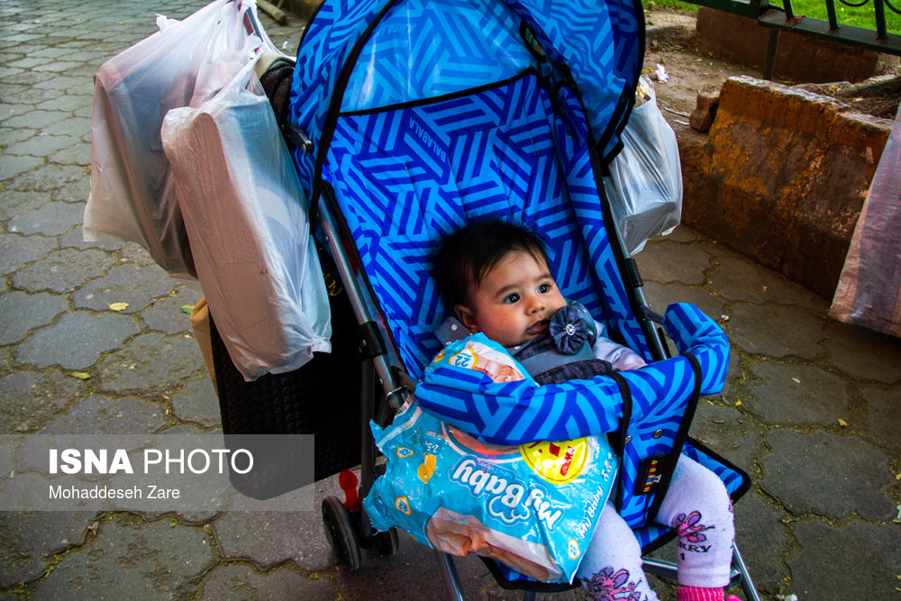 کیسه‌های «پلاستیکی»