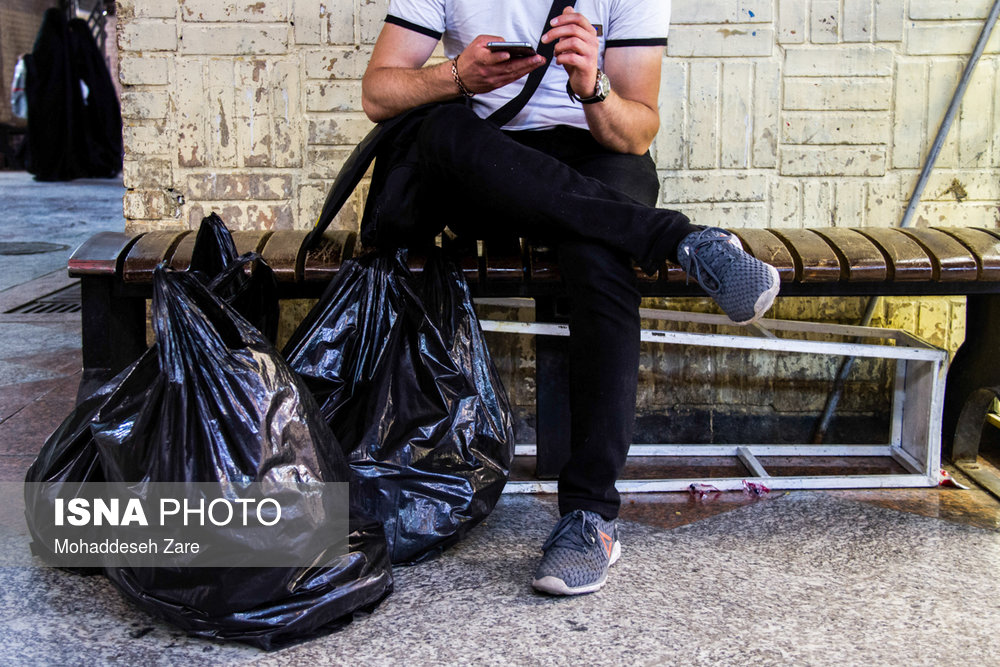 کیسه‌های «پلاستیکی»