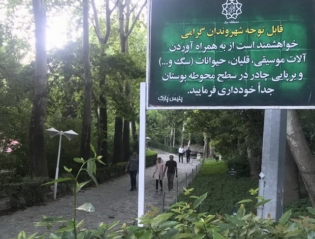 واکنش مدیرعامل خانه موسیقی به تابلو «ورود ساز ممنوع»