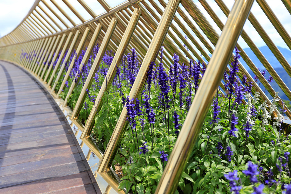 دست‌هایی که در ویتنام پل زدند / پیوند پل طلایی با گردشگران