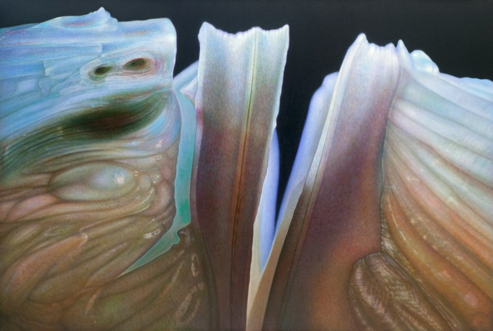 یک گزارش تصویری زیبا از آثار حادواقع‌گرایانه دنیس وُیتکِویچ در مورد میوه ها