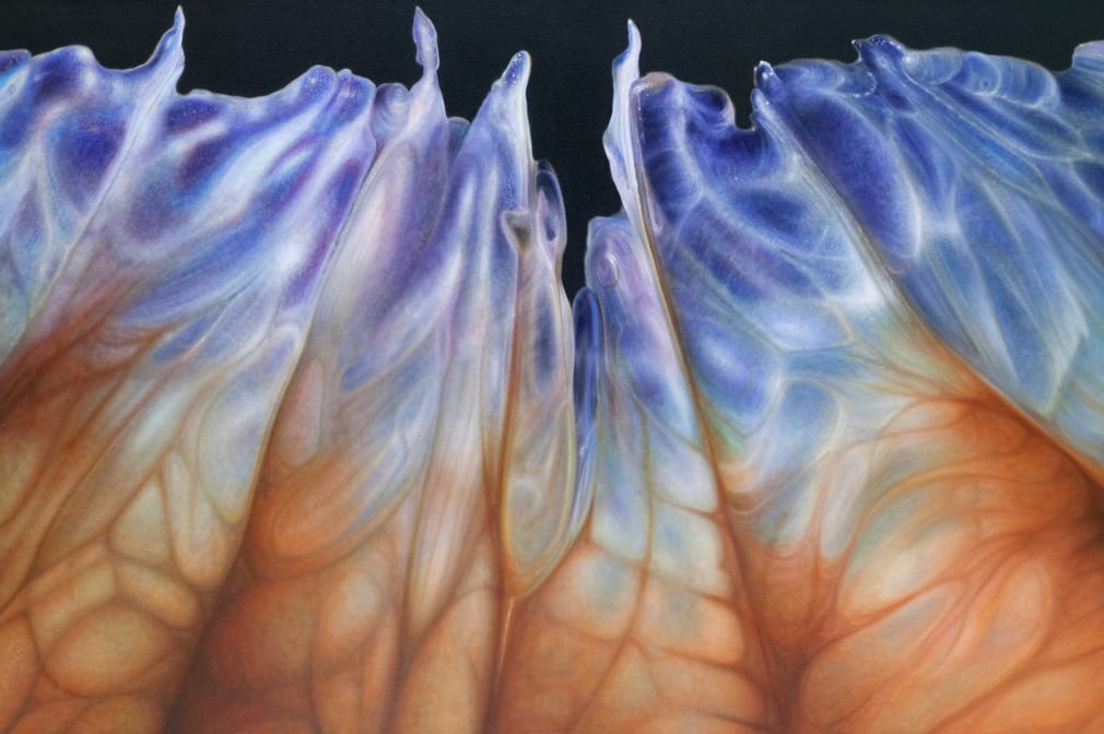 یک گزارش تصویری زیبا از آثار حادواقع‌گرایانه دنیس وُیتکِویچ در مورد میوه ها