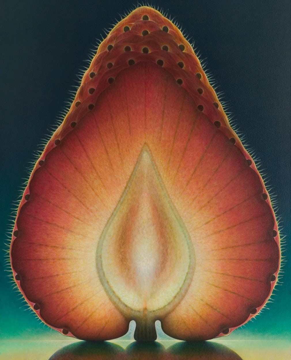 یک گزارش تصویری زیبا از آثار حادواقع‌گرایانه دنیس وُیتکِویچ در مورد میوه ها