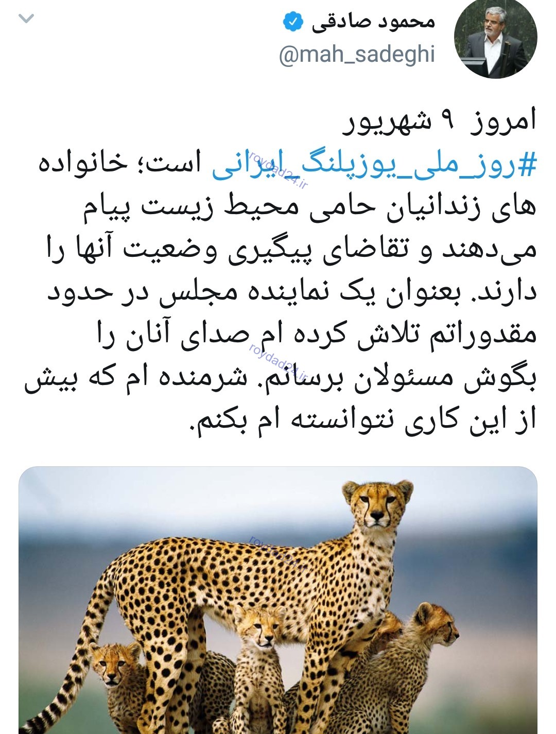 عذرخواهی محمود صادقی از فعالان محیط زیست