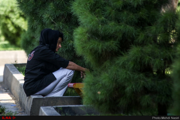 اینجا زن و مرد دراز به دراز افتاده‌اند، خمار و نشئه می‌شوند، دود می‌کنند و توهم می‌زنند