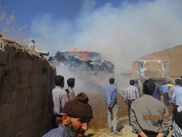 بچهها یک روستا را به آتش کشیدند! بچهها یک روستا را به آتش کشیدند!