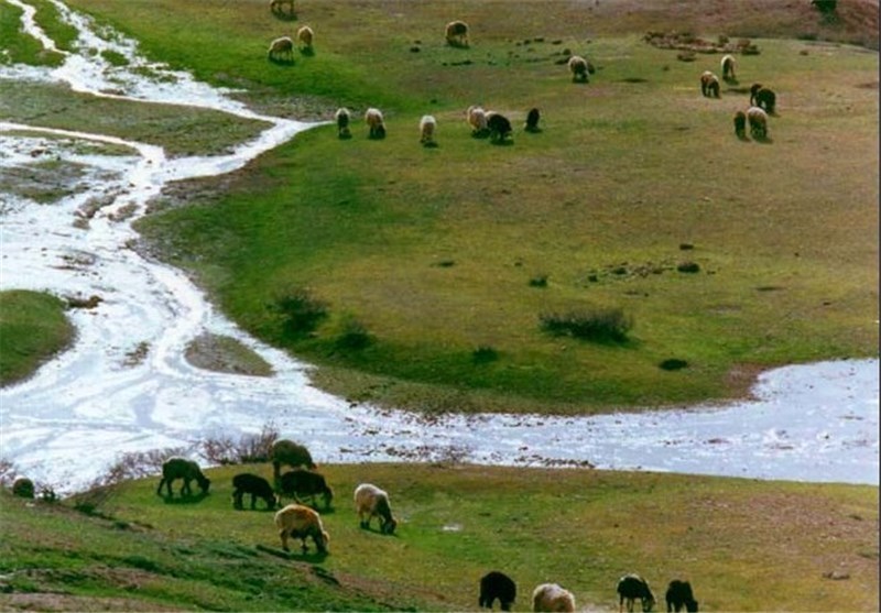 بحران آب و خاک قابل درمان است