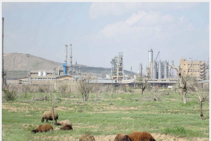 اینجا 80 درصد مردم سرطان دارند!