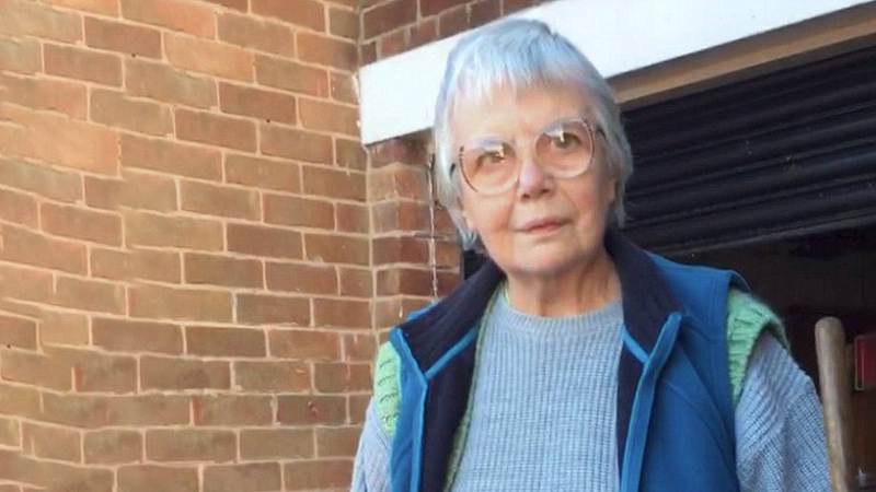 پیرزن فضول محله دستگیر شد + فیلم و عکس پیرزن فضول محله دستگیر شد + فیلم و عکس